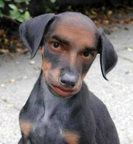 460>_2864576